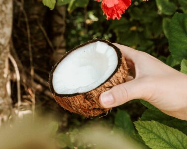 Kokosöl Beauty Anwendungen Wundermittel
